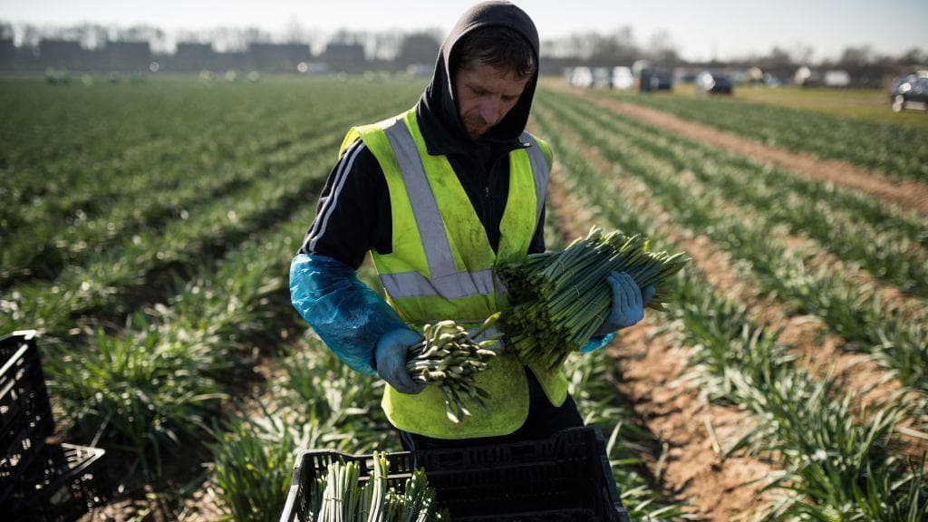 استراتيجية ترامب الأمنية تثير قلق الإعلام الغربي حول الهجرة